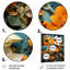 Impression sur métal «Orange Tangle II» - Collages abstraits-1594349287