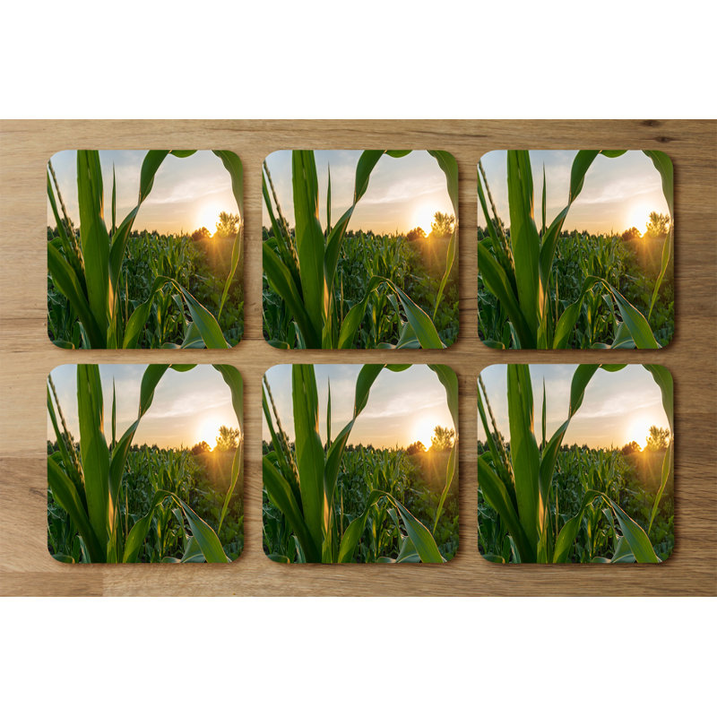 Dozie Square 6 Piece Coaster Set