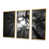Toile avec cadre flottant or