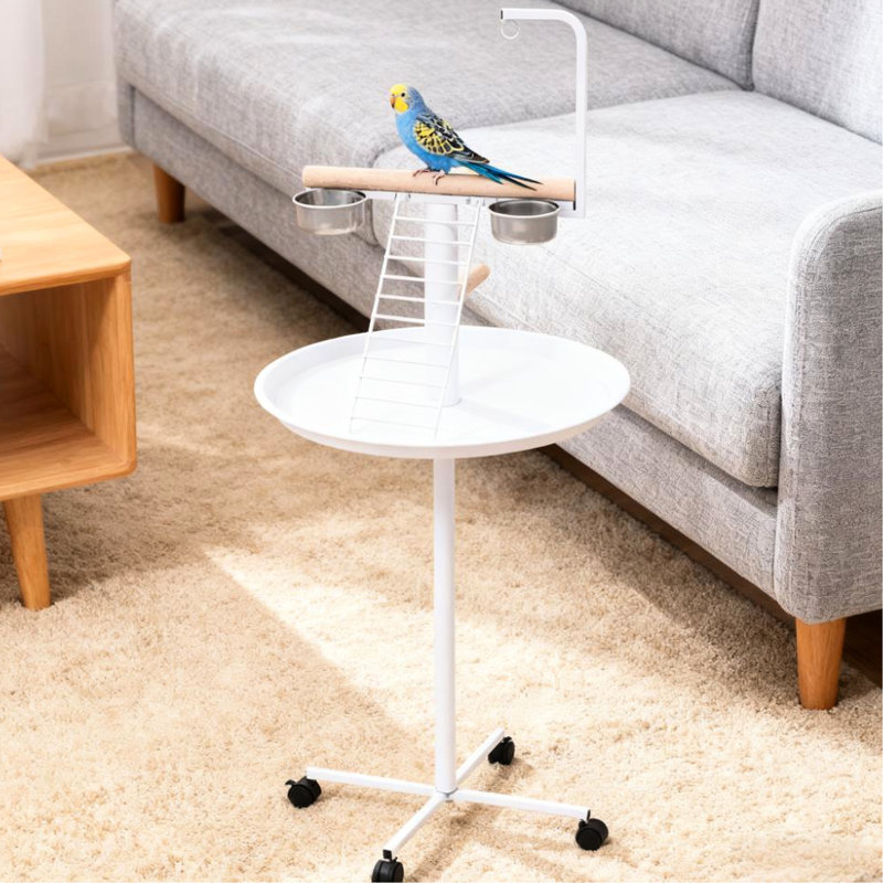 Cage à oiseaux avec plusieurs espaces de repos et bols d'alimentation, pour perchoir de station de petit perroquet, avec perroquets à plateau rond