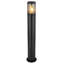 Jerrik Transparent Lamp Post (complete)
