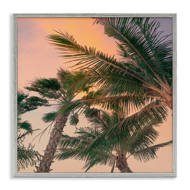 Gathering Palms at Sunset, estampe numérique, design par Susan Jill, H 17 po x l 17 po, Estampe numérique Farmhouse