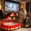 Lit pour chat moelleux en forme de nuage avec surface à gratter et jouet suspendu, chaise longue confortable pour chats d'intérieur