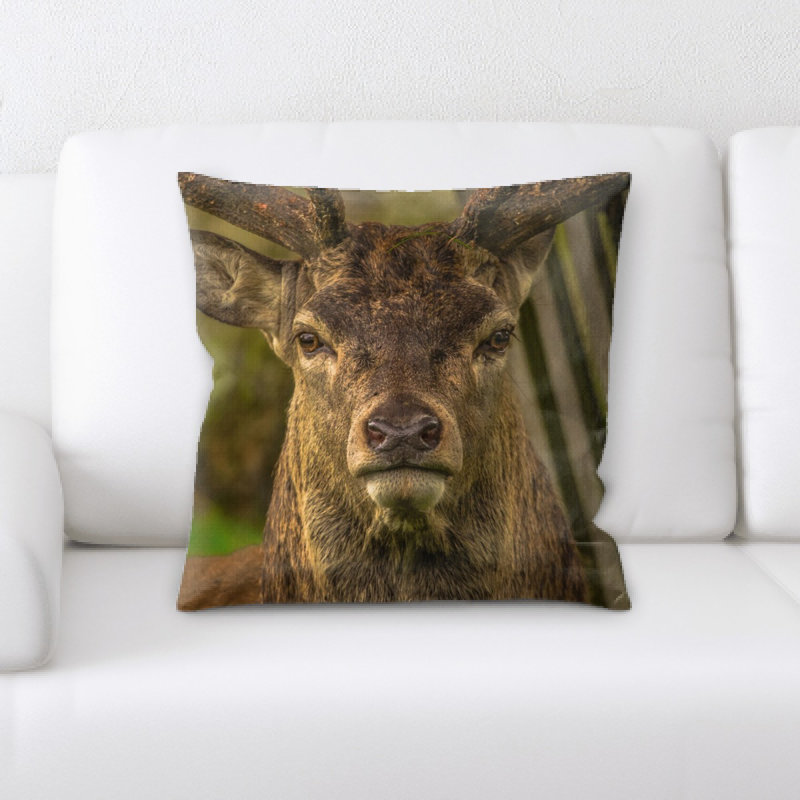 Coussin cerf