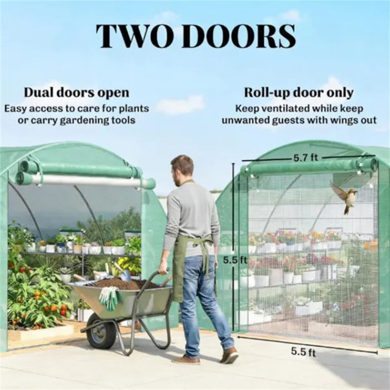 Serre Green Walk-in Tunnel, salle de plantation en PE avec structure en acier galvanisé, tablettes intérieures et évents en filet, capacité de charge de 110 lb par niveau