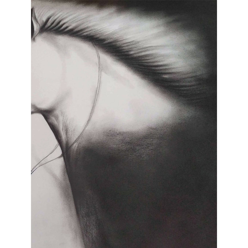 Coup d'œil vif - Peinture de cheval | Gris anthracite sur papier | Par Arvind Mahajan