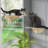 Ceili Cat Perch Seat 2 Install Ways Suction Cups/Wall-mounted
