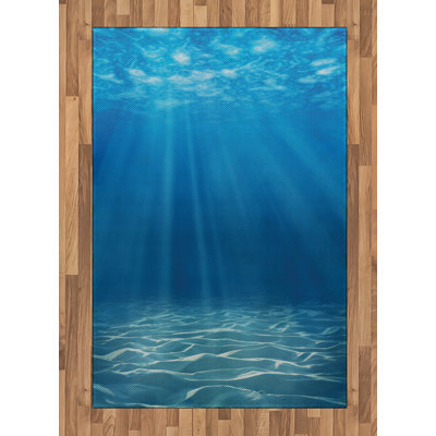 Brionna Hand Woven Area Rug