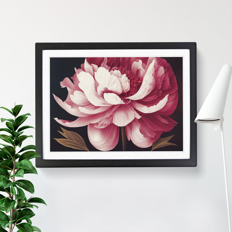 Tremendous Peony Flower - Single Picture Frame Print, 46cm H x 64cm W x 2cm D, Black