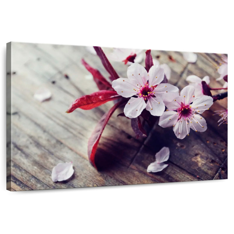 Harnek Spring Blossom, H 8 po x l 12 po