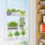 Plant Stand