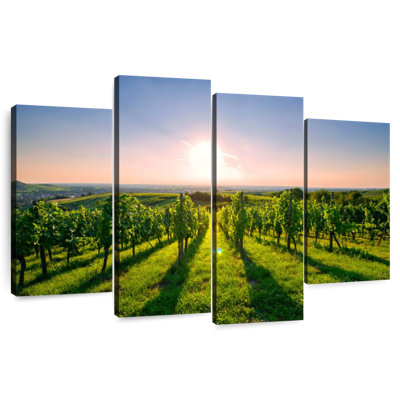 Alvord Sunny Kraichgau Vineyard