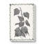 Ivy Melanocarpa by Shirley Hibberd - Wrapped Canvas-55313077