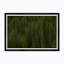 Among Static Pines Ii Framed Photographic Print
