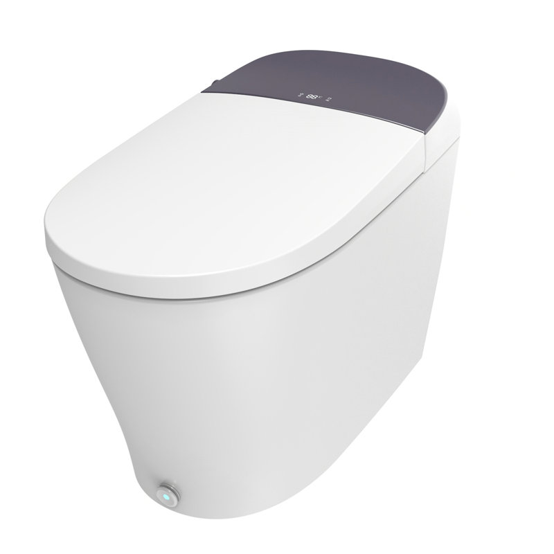 Toilette allongée à fixation au sol Dyconn 0,7 GPF (siège inclus)