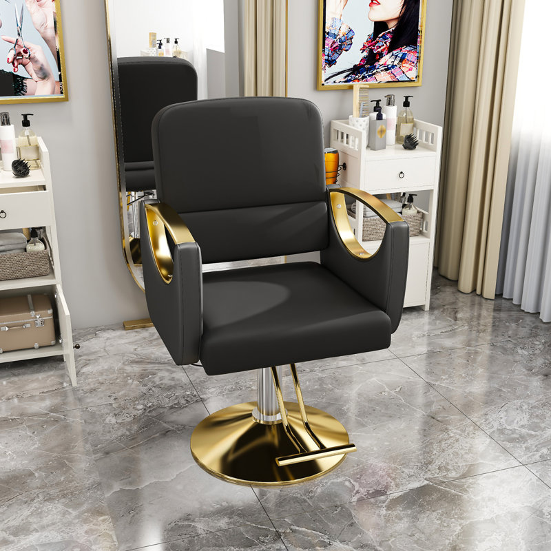 Chaise de salon hydraulique (paquet simple)
