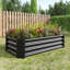Lit de jardin surélevé rectangulaire pour plantes, légumes et herbes