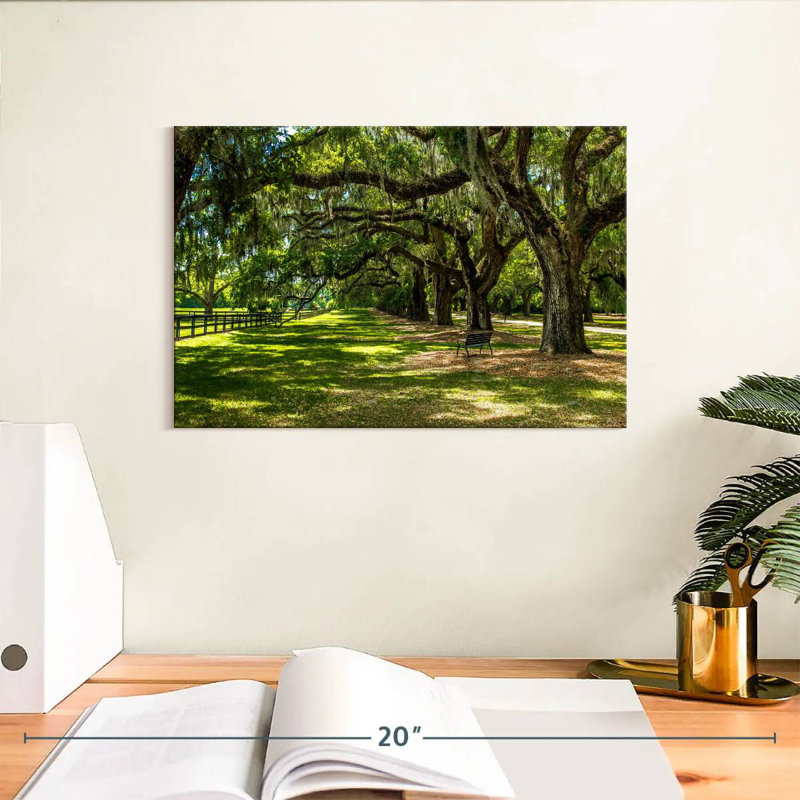 Paysage Harnek Boone Hall, H 8 po x l 12 po