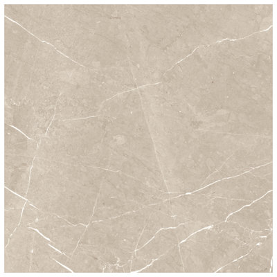 Autograph 48x48 Satin Marble Look Porcelain Tile