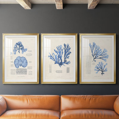 Blue Marine Algae IV - reproduction encadrée sur mesure de qualité supérieure mate - 3 pièces