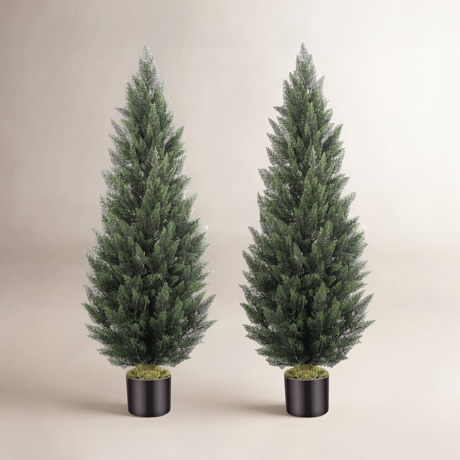 59" Cedar Tree in Pot, 59" H X 21.6" W X 21.6" D