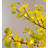 72'' Faux Foliage Tree in Pot