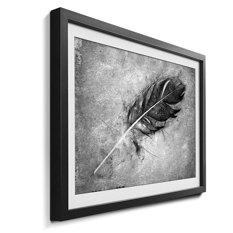 Naturdetails Beautiful Feather 1 Piece Single Picture Frame Wall Art, 64cm H x 84cm W x 2.2cm D