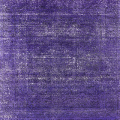 Oriental Indoor Rug