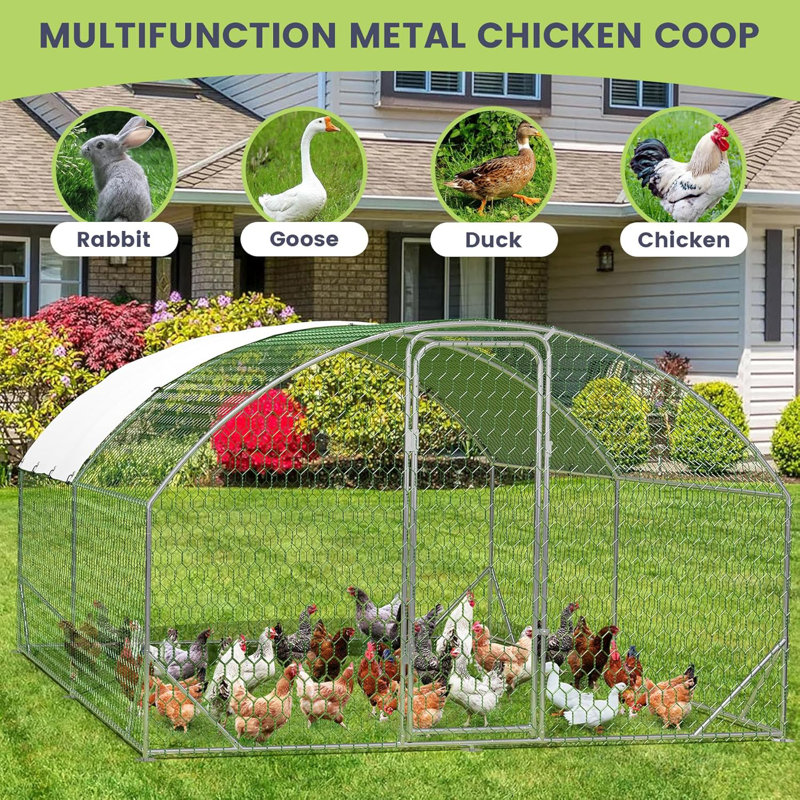 Geraud Chicken Run with Wire Mesh, 198.1cm H x 299.7cm W x 400cm D