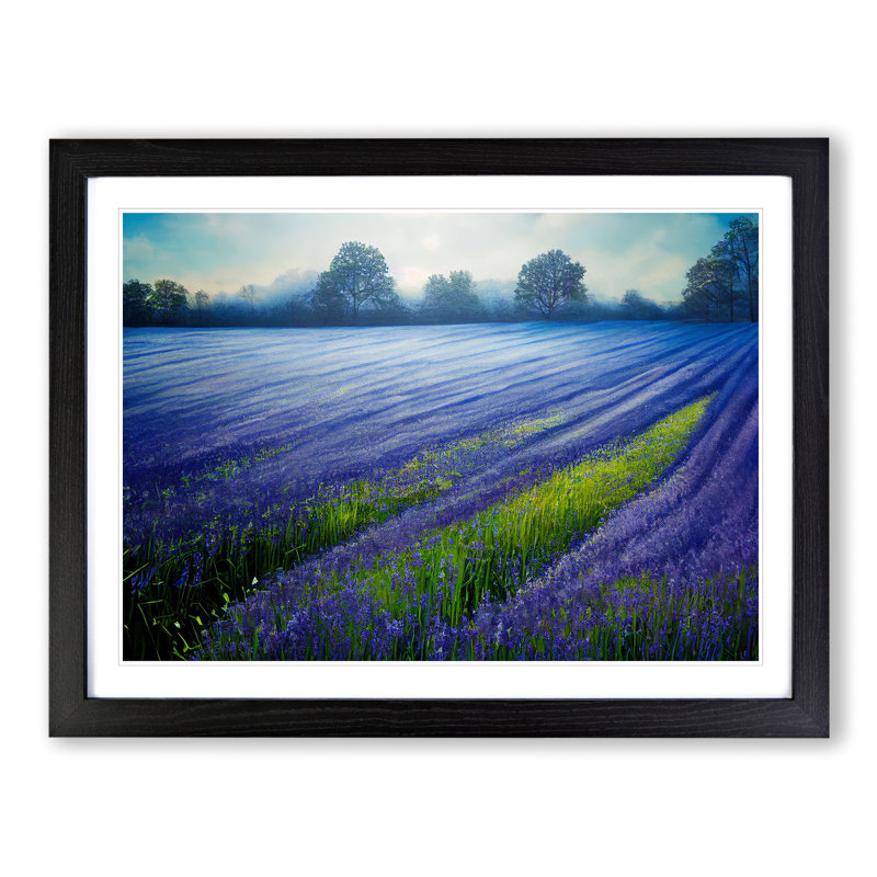 Magnetic Bluebell Field - Framed Print, Black, 46cm H x 64cm W x 2cm D