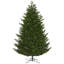 Eagle Fraser Lighted Artificial Fir Christmas Tree-319199298