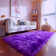 Indoor Rug