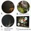 Succulent Bouquet Still Life I - Succulent Wall Art Living Room-211195260-211195261