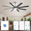 Ventilateur de plafond moderne de 66 pouces avec lumière à DEL à intensité variable et 8 pales en ABS pour télécommande et moteur à courant continu réversible noir pour le bureau à domicile-758287055-758287051