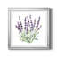 Lavande botanique II - peinture encadrée-481411729-481411730