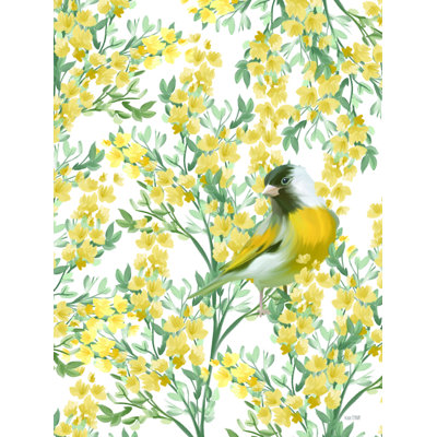 " Yellow Spring Finch " by House Fenway
