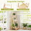 Plant Stand