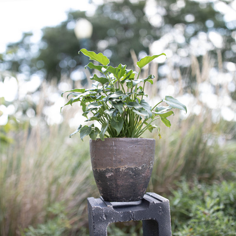 Handmade Pot Planter