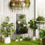 Metal Raised Garden Bed with Trellis