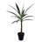 Artificial Green Yucca Tree-657066114