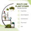 Polin Multi-Tiered Plant Stand