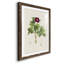 «Pretty Botanicals III», cadre photo-1776683593-1776683584