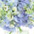 Hydrangeas Arranged in a Glass Vase-280861061