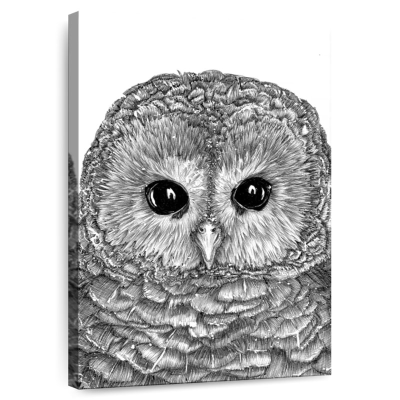 Brampt Tiny Owl, 36" H x 24" W