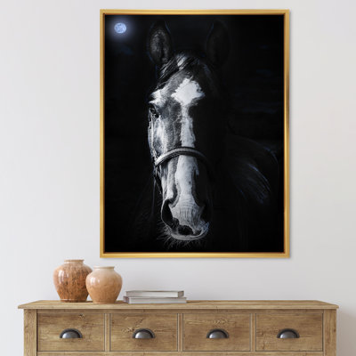 " Horse Staring Sinister "