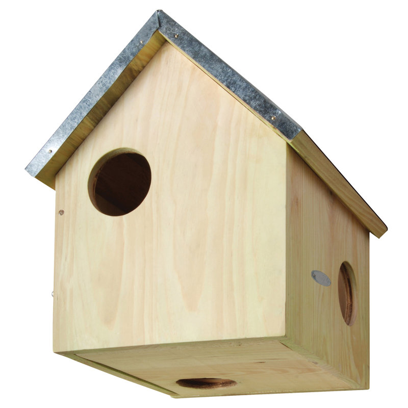 Squirrel House Fsc 100%