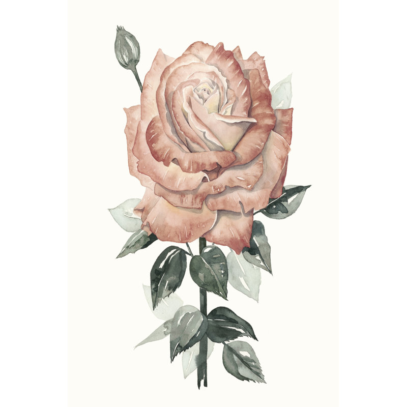 Beholden Rose II by Grace Popp - Wrapped Canvas Print, 76cm H x 51cm W