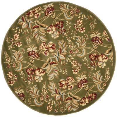 Carolane Performance Floral Rug