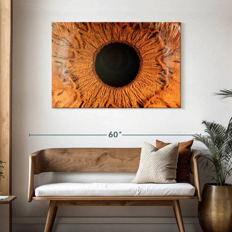 Alcaraz Brown Iris, 30" H x 45" W
