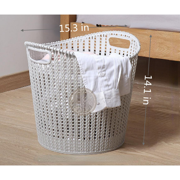https://assets.wfcdn.com/im/39428457/resize-h755-w755%5Ecompr-r85/2158/215804567/Plastic+Laundry+Basket+with+Handles.jpg